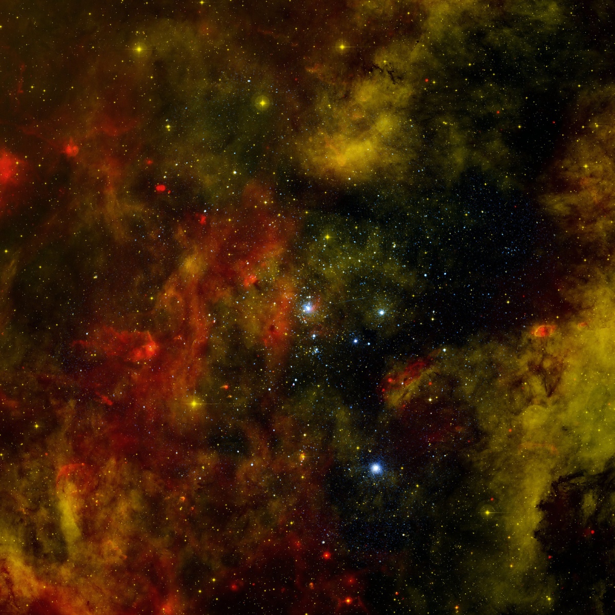 amas d'étoiles Cygnus OB2