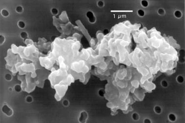 Interstellar Dust