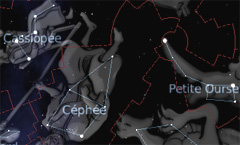 cepheus