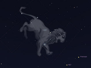 le signe du lion zodiaque