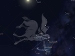 Los Signos del Zodíaco - Sagitario