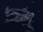 zodiac Aquarius