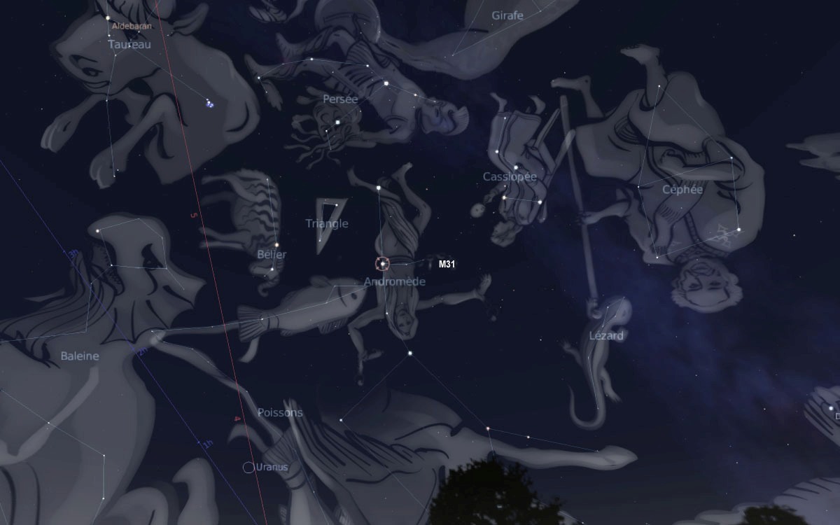 Cielo de noviembre para niños, constelación de Andrómeda