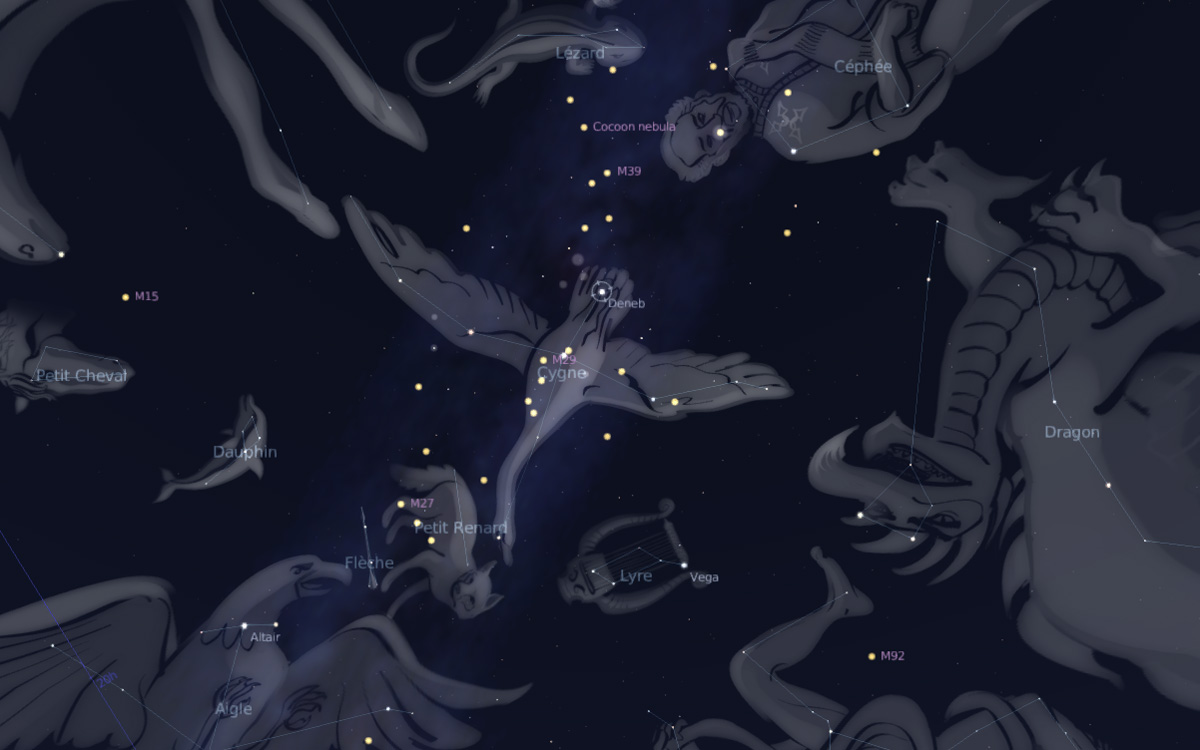 Cielo de julio para niños, constelación de Cygnus