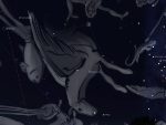 October sky, constellation Pegasus