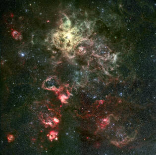 Nébuleuse de la Tarentule ou NGC 2070
