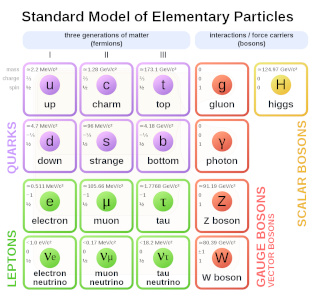 Standard model of elementary particles
