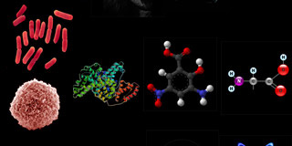 Passage de l'inerte au vivant