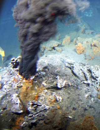 fuentes hidrotermales